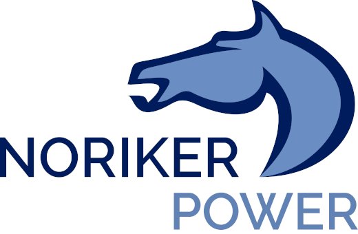 Noriker Power Ltd undertakes a strategic restructuring